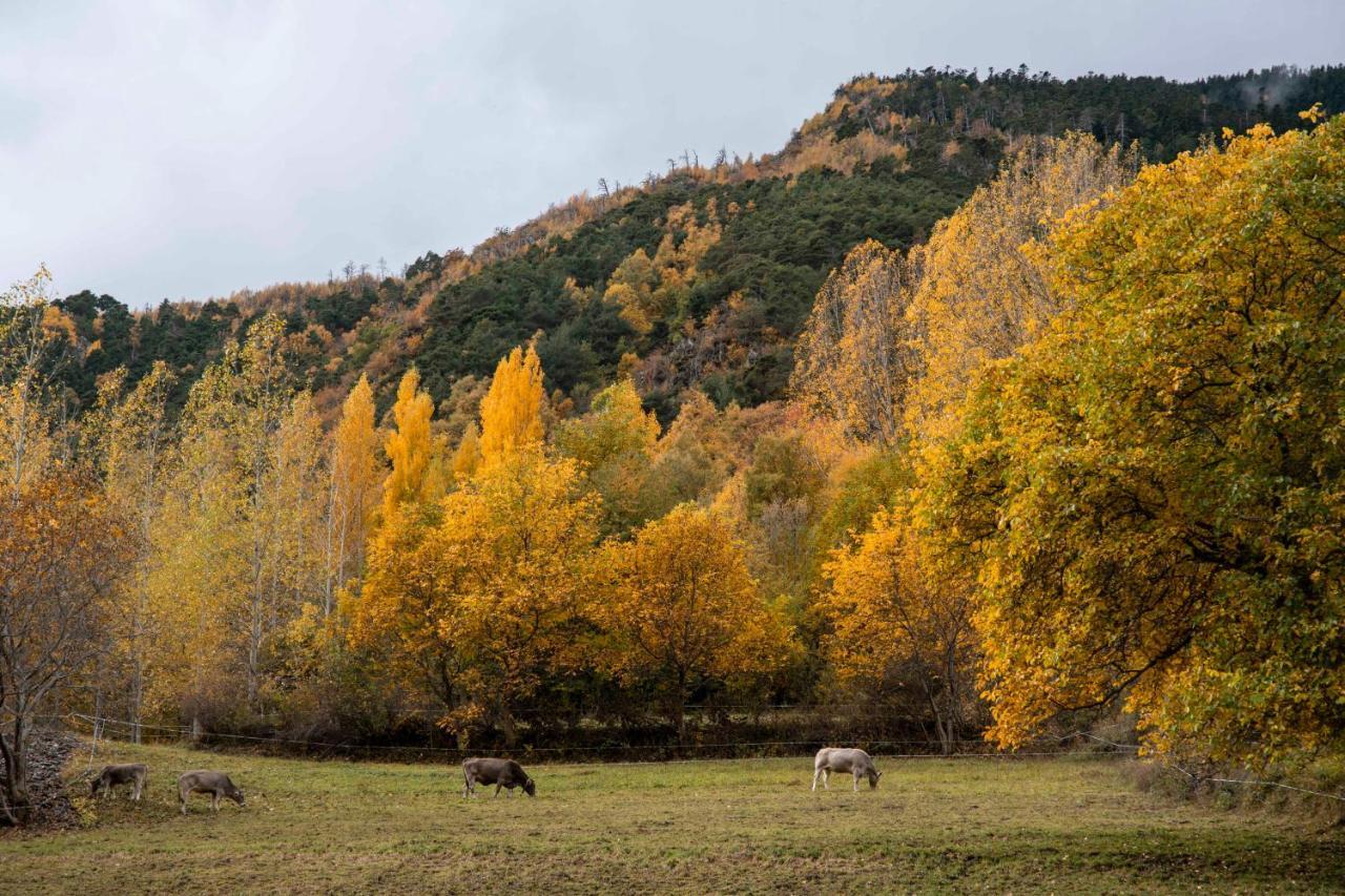 Casa Rural Besoli Areu Екстер'єр фото